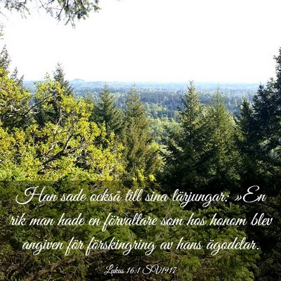 Picture 03 - Lukas 16:1 SV1917 - Han sade också till sina lärjungar: »En rik - Bible Verse Picture