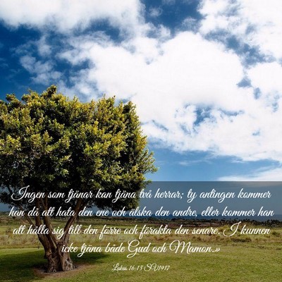 Picture 03 - Lukas 16:13 SV1917 - Ingen som tjänar kan tjäna två herrar; ty - Bible Verse Picture