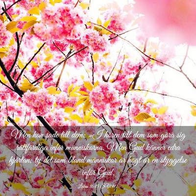 Picture 03 - Lukas 16:15 SV1917 - Men han sade till dem: »I hören till dem som - Bible Verse Picture