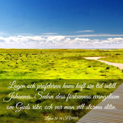 Picture 03 - Lukas 16:16 SV1917 - Lagen och profeterna hava haft sin tid intill - Bible Verse Picture
