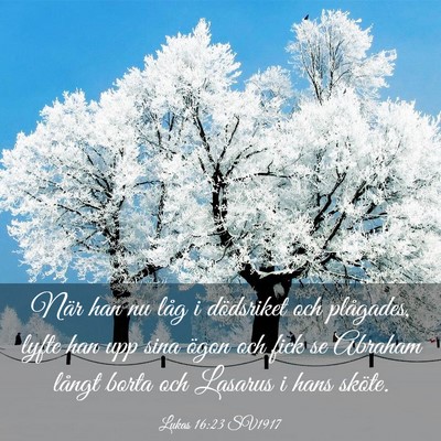 Picture 03 - Lukas 16:23 SV1917 - När han nu låg i dödsriket och plågades, - Bible Verse Picture