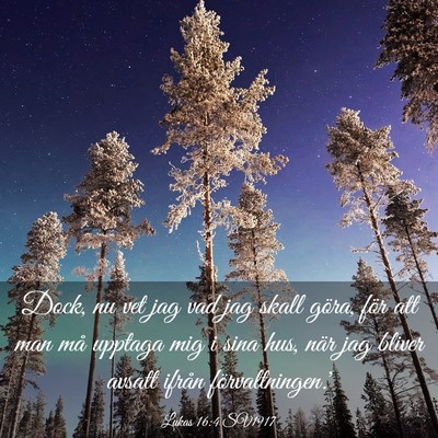 Picture 03 - Lukas 16:4 SV1917 - Dock, nu vet jag vad jag skall göra, för att - Bible Verse Picture