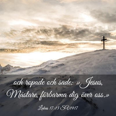 Picture 03 - Lukas 17:13 SV1917 - och ropade och sade: »Jesus, Mästare, förbarma - Bible Verse Picture