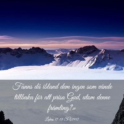 Picture 03 - Lukas 17:18 SV1917 - Fanns då ibland dem ingen som vände tillbaka - Bible Verse Picture