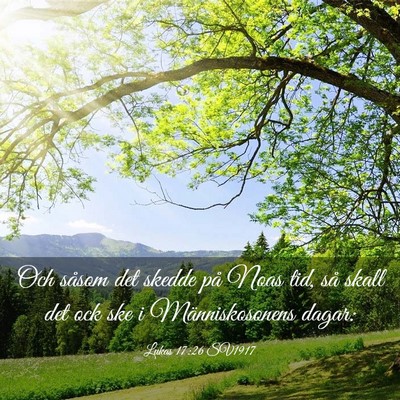 Picture 03 - Lukas 17:26 SV1917 - Och såsom det skedde på Noas tid, så skall det - Bible Verse Picture