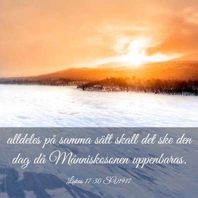 Picture 03 - Lukas 17:30 SV1917 - alldeles på samma sätt skall det ske den dag - Bible Verse Picture