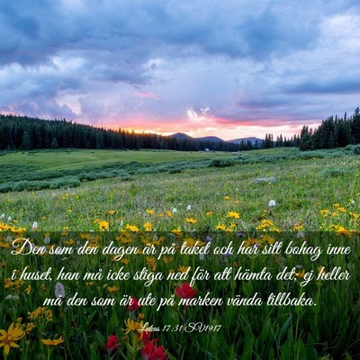 Picture 03 - Lukas 17:31 SV1917 - Den som den dagen är på taket och har sitt - Bible Verse Picture