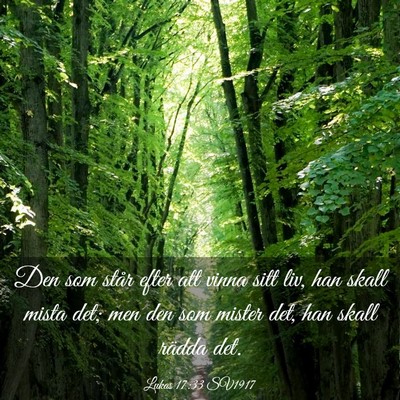 Picture 03 - Lukas 17:33 SV1917 - Den som står efter att vinna sitt liv, han skall - Bible Verse Picture