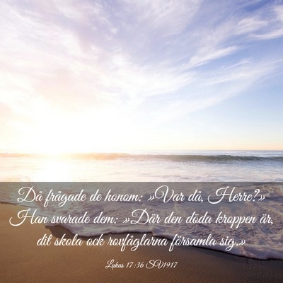 Picture 03 - Lukas 17:36 SV1917 - Då frågade de honom: »Var då, Herre?» Han - Bible Verse Picture
