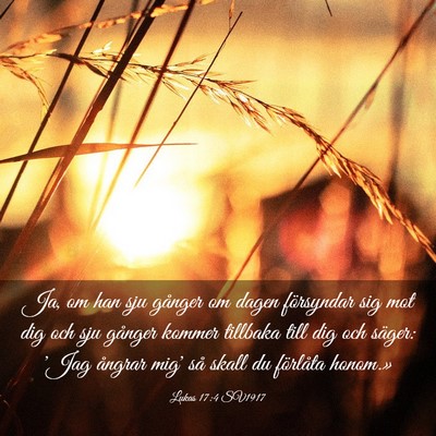 Picture 03 - Lukas 17:4 SV1917 - Ja, om han sju gånger om dagen försyndar sig - Bible Verse Picture
