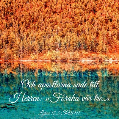 Picture 03 - Lukas 17:5 SV1917 - Och apostlarna sade till Herren: »Föröka vår - Bible Verse Picture