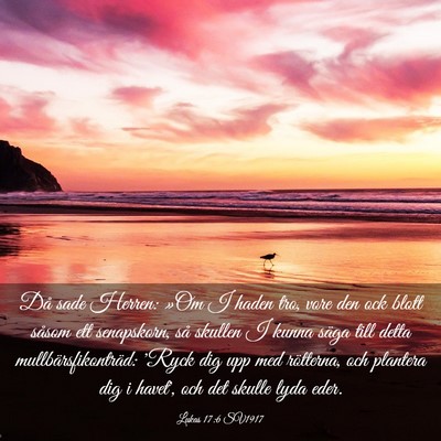 Picture 03 - Lukas 17:6 SV1917 - Då sade Herren: »Om I haden tro, vore den ock - Bible Verse Picture