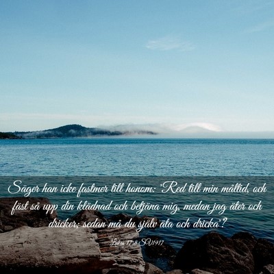Picture 03 - Lukas 17:8 SV1917 - Säger han icke fastmer till honom: 'Red till min - Bible Verse Picture