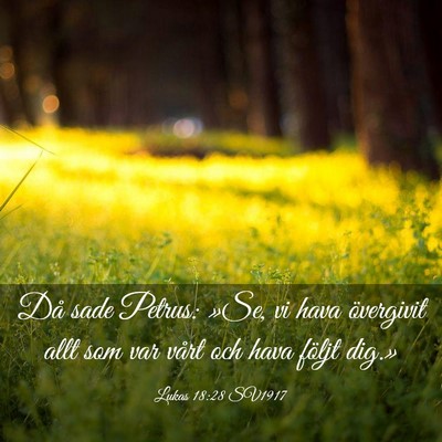 Picture 03 - Lukas 18:28 SV1917 - Då sade Petrus: »Se, vi hava övergivit allt - Bible Verse Picture
