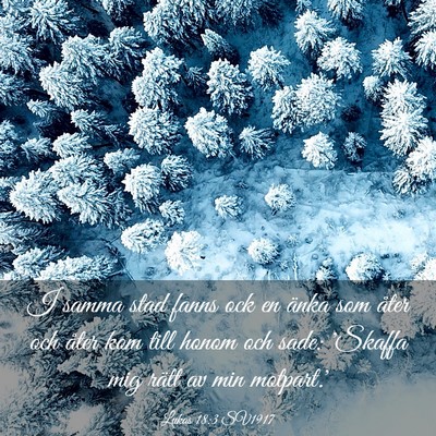 Picture 03 - Lukas 18:3 SV1917 - I samma stad fanns ock en änka som åter och - Bible Verse Picture