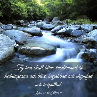 Picture 03 - Lukas 18:32 SV1917 - Ty han skall bliva överlämnad åt hedningarna - Bible Verse Picture