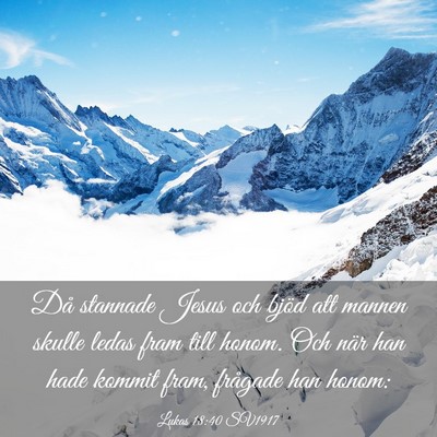 Picture 03 - Lukas 18:40 SV1917 - Då stannade Jesus och bjöd att mannen skulle - Bible Verse Picture