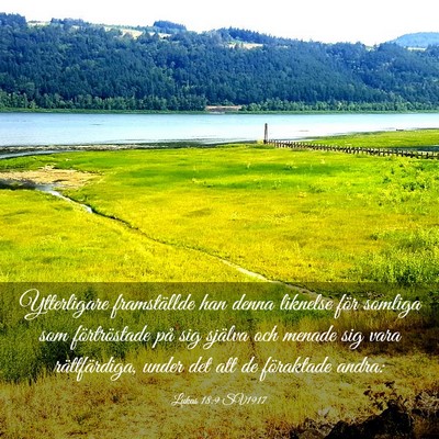 Picture 03 - Lukas 18:9 SV1917 - Ytterligare framställde han denna liknelse för - Bible Verse Picture