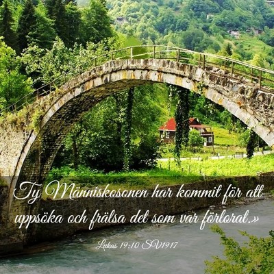 Picture 03 - Lukas 19:10 SV1917 - Ty Människosonen har kommit för att uppsöka - Bible Verse Picture