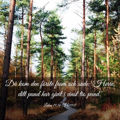 Picture 03 - Lukas 19:16 SV1917 - Då kom den förste fram och sade: 'Herre, ditt - Bible Verse Picture