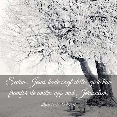 Picture 03 - Lukas 19:28 SV1917 - Sedan Jesus hade sagt detta, gick han framför de - Bible Verse Picture