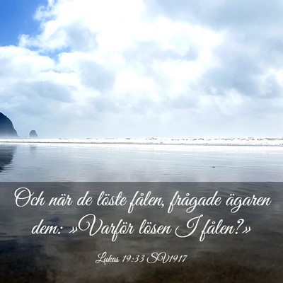 Picture 03 - Lukas 19:33 SV1917 - Och när de löste fålen, frågade ägaren dem: - Bible Verse Picture