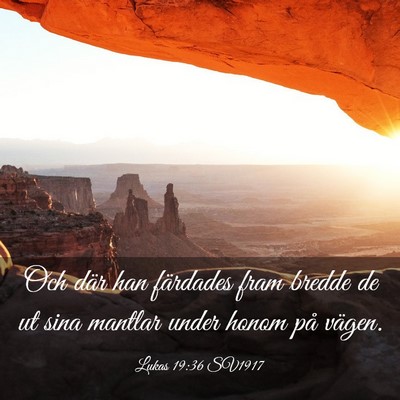 Picture 03 - Lukas 19:36 SV1917 - Och där han färdades fram bredde de ut sina - Bible Verse Picture