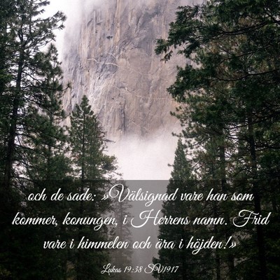 Picture 03 - Lukas 19:38 SV1917 - och de sade: »Välsignad vare han som kommer, - Bible Verse Picture