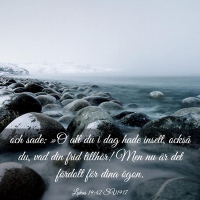 Picture 03 - Lukas 19:42 SV1917 - och sade: »O att du i dag hade insett, också - Bible Verse Picture