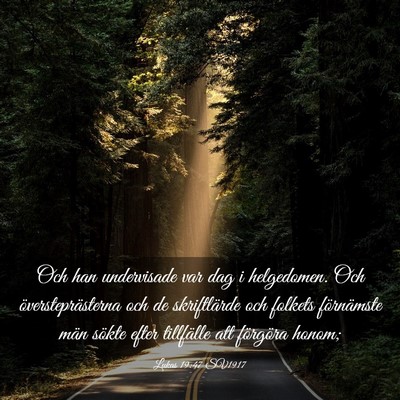 Picture 03 - Lukas 19:47 SV1917 - Och han undervisade var dag i helgedomen. Och - Bible Verse Picture