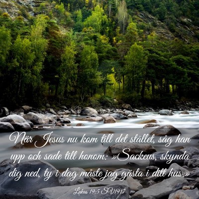 Picture 03 - Lukas 19:5 SV1917 - När Jesus nu kom till det stället, såg han upp - Bible Verse Picture