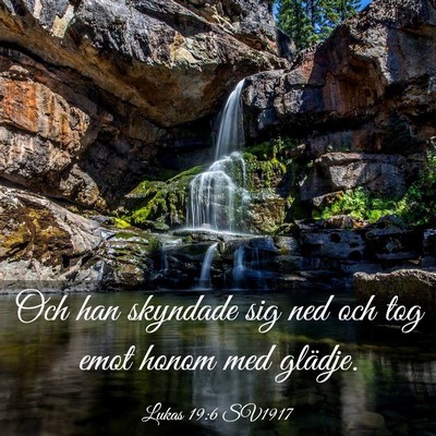 Picture 03 - Lukas 19:6 SV1917 - Och han skyndade sig ned och tog emot honom med - Bible Verse Picture