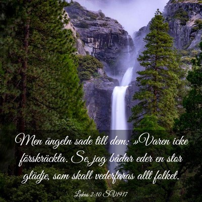 Picture 03 - Lukas 2:10 SV1917 - Men ängeln sade till dem: »Varen icke - Bible Verse Picture