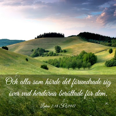 Picture 03 - Lukas 2:18 SV1917 - Och alla som hörde det förundrade sig över vad - Bible Verse Picture