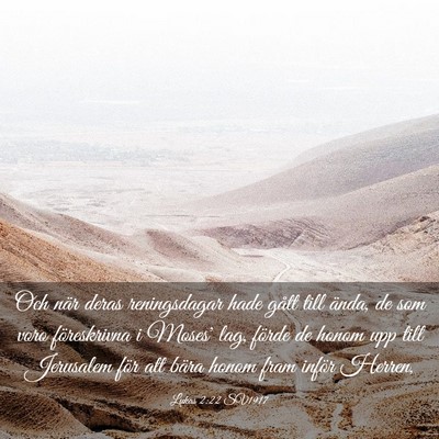 Picture 03 - Lukas 2:22 SV1917 - Och när deras reningsdagar hade gått till - Bible Verse Picture