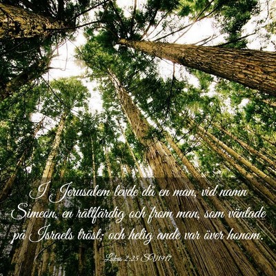Picture 03 - Lukas 2:25 SV1917 - I Jerusalem levde då en man, vid namn Simeon, en - Bible Verse Picture