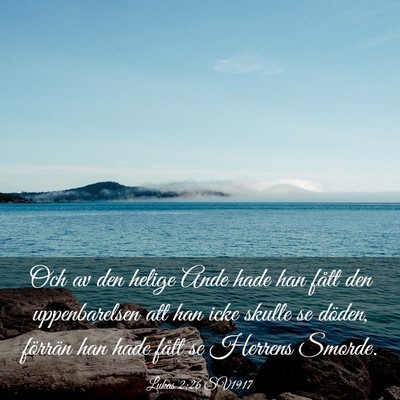 Picture 03 - Lukas 2:26 SV1917 - Och av den helige Ande hade han fått den - Bible Verse Picture