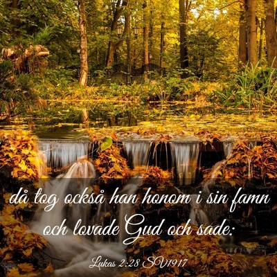 Picture 03 - Lukas 2:28 SV1917 - då tog också han honom i sin famn och lovade - Bible Verse Picture