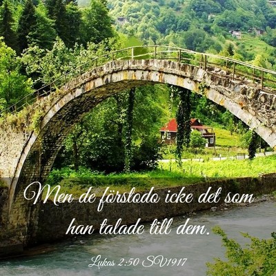 Picture 03 - Lukas 2:50 SV1917 - Men de förstodo icke det som han talade till - Bible Verse Picture