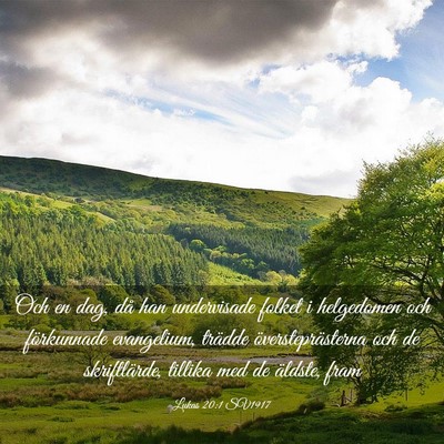 Picture 03 - Lukas 20:1 SV1917 - Och en dag, då han undervisade folket i - Bible Verse Picture