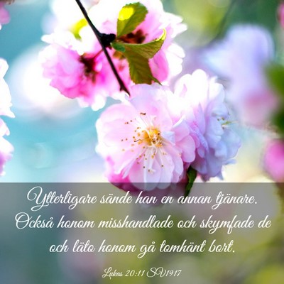 Picture 03 - Lukas 20:11 SV1917 - Ytterligare sände han en annan tjänare. Också - Bible Verse Picture