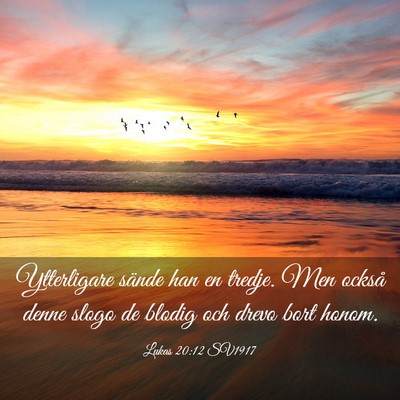 Picture 03 - Lukas 20:12 SV1917 - Ytterligare sände han en tredje. Men också - Bible Verse Picture