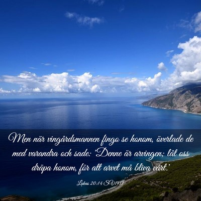 Picture 03 - Lukas 20:14 SV1917 - Men när vingårdsmannen fingo se honom, - Bible Verse Picture