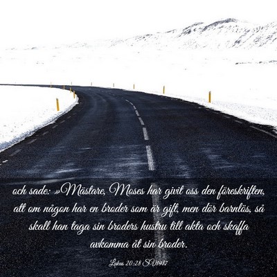 Picture 03 - Lukas 20:28 SV1917 - och sade: »Mästare, Moses har givit oss den - Bible Verse Picture