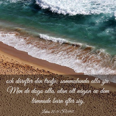 Picture 03 - Lukas 20:31 SV1917 - och därefter den tredje; sammalunda alla sju. - Bible Verse Picture