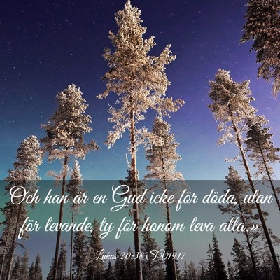 Picture 03 - Lukas 20:38 SV1917 - Och han är en Gud icke för döda, utan för - Bible Verse Picture