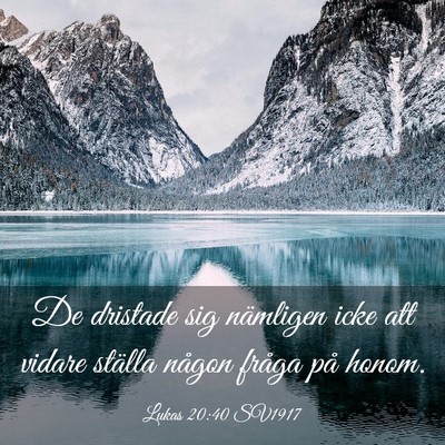 Picture 03 - Lukas 20:40 SV1917 - De dristade sig nämligen icke att vidare ställa - Bible Verse Picture