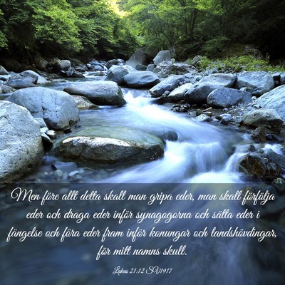 Picture 03 - Lukas 21:12 SV1917 - Men före allt detta skall man gripa eder, man - Bible Verse Picture