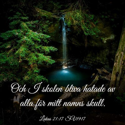 Picture 03 - Lukas 21:17 SV1917 - Och I skolen bliva hatade av alla för mitt namns - Bible Verse Picture