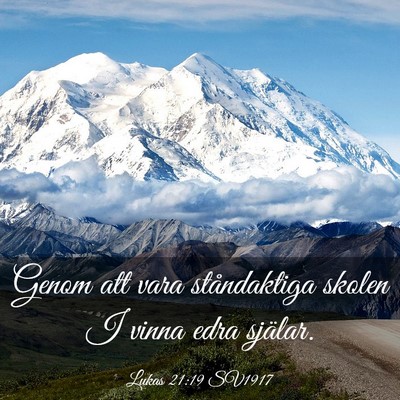 Picture 03 - Lukas 21:19 SV1917 - Genom att vara ståndaktiga skolen I vinna edra - Bible Verse Picture